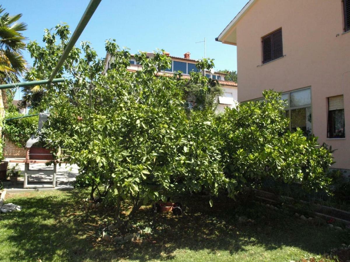 Apartman Celestina Медулин Екстериор снимка